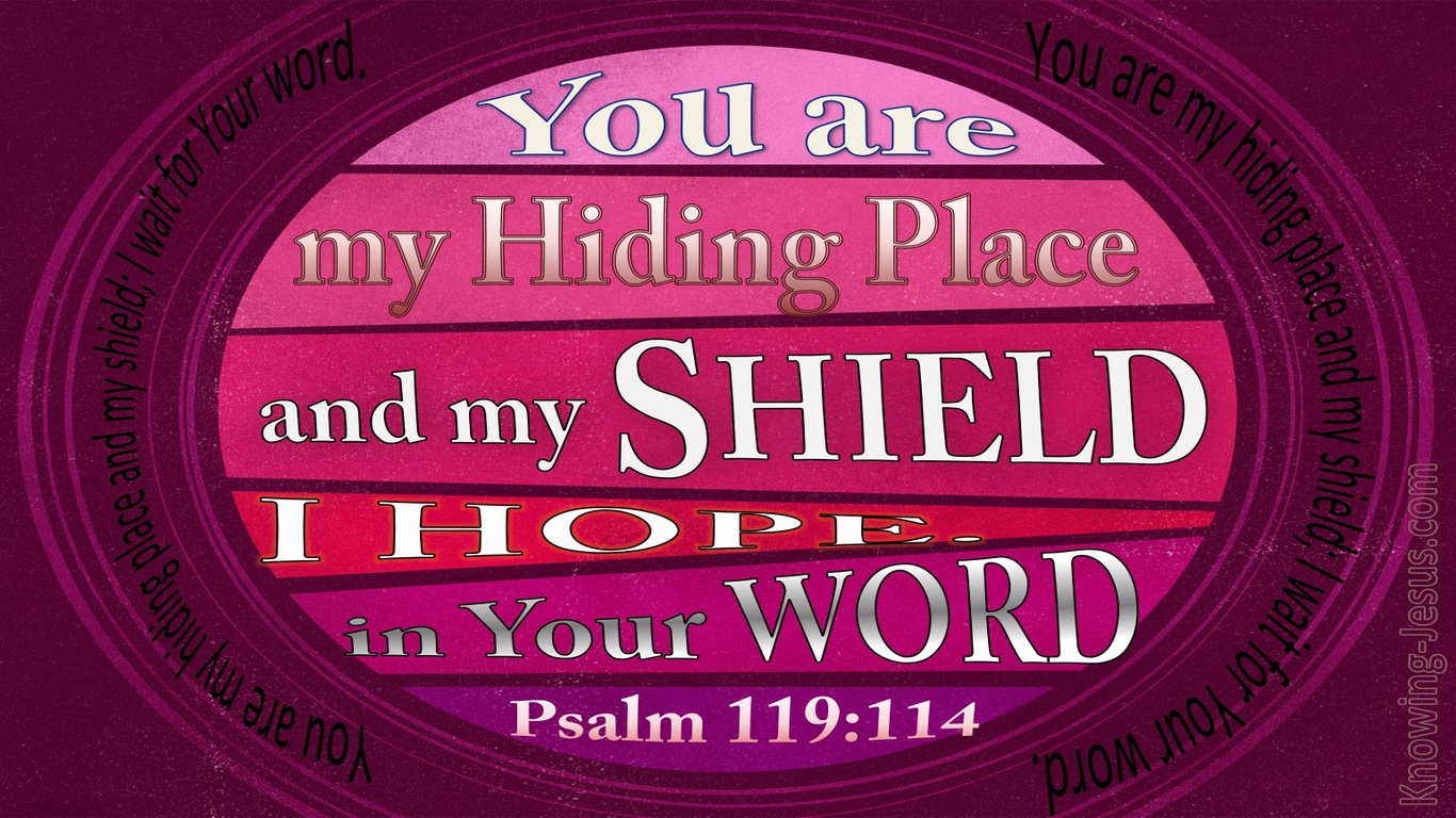 Psalm 119:114 Your Are My Hiding Place (pink)
